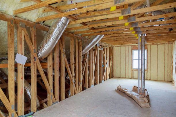 Best Insulation Maintenance and Repair in Le Mars, IA