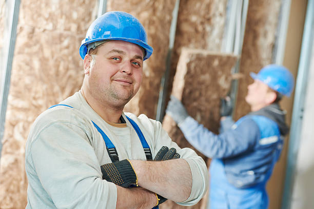 Best Insulation Installation Services in Le Mars, IA